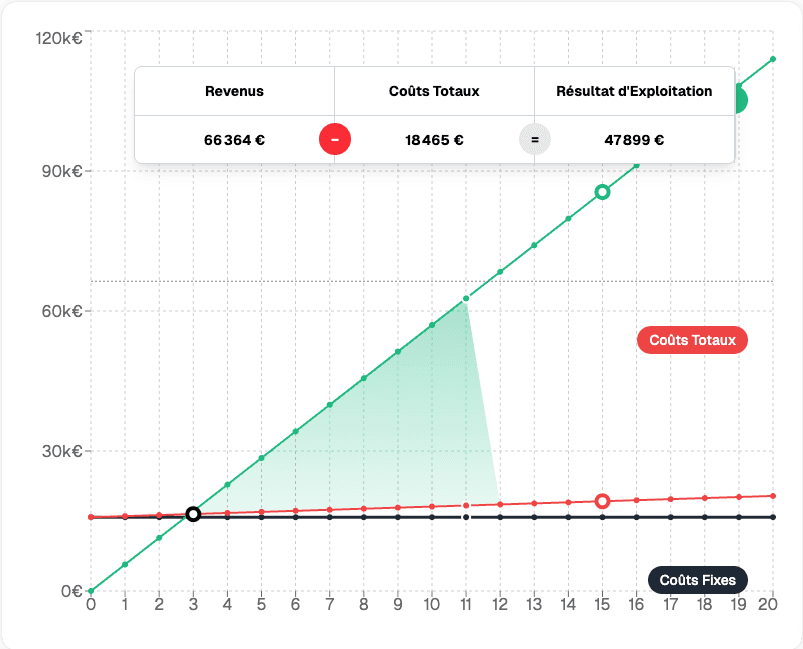 Compte de résultat détaillé